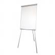Flipchart Eco Popchart 2x3 100x70 such/mag TF01EC0