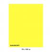Karton kolorowy Iris kanarkowy 040-443 7010-12